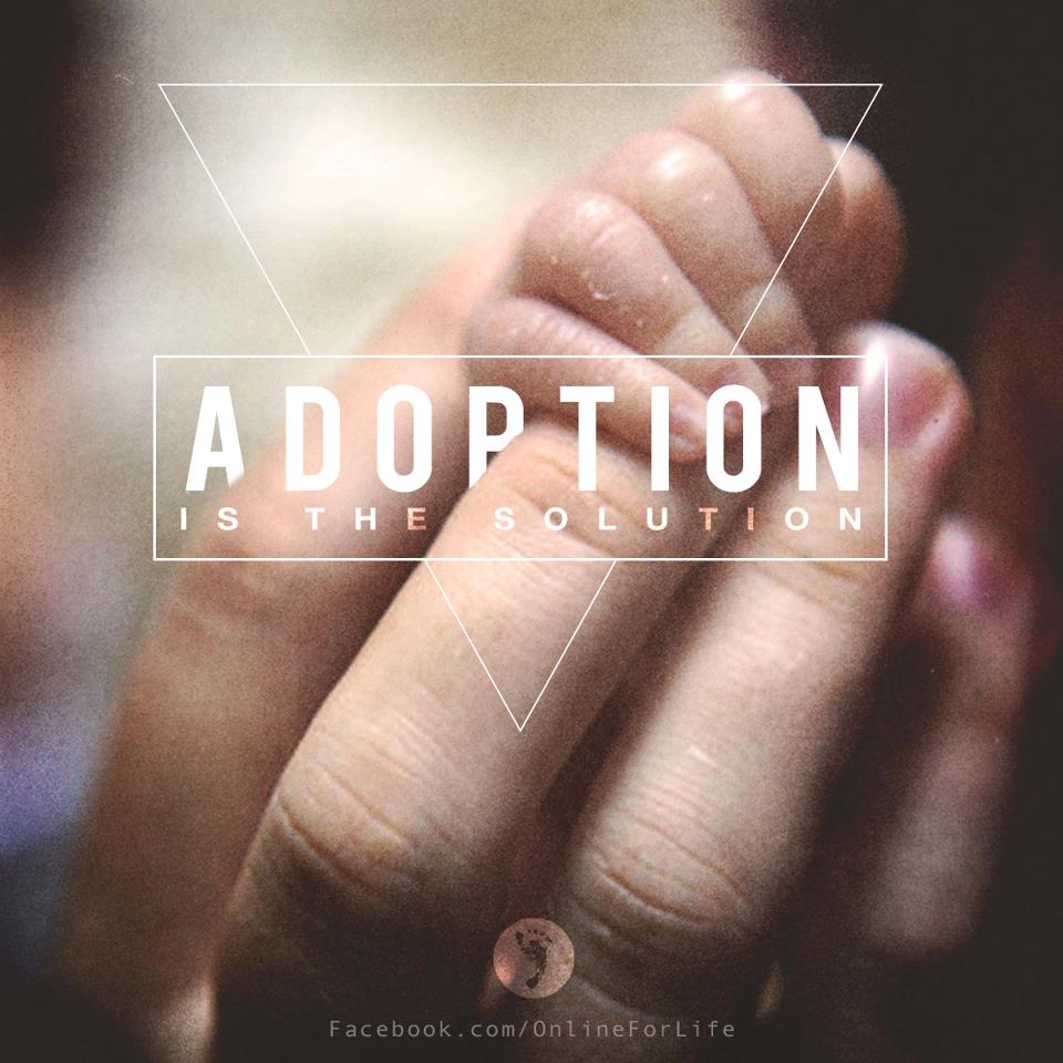 Adoption Is The Solution