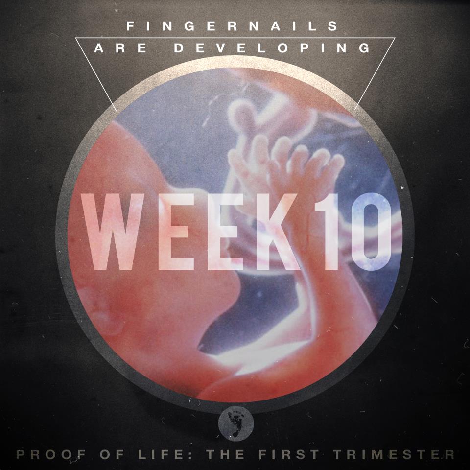 Week 10: Fingernails Are Developing