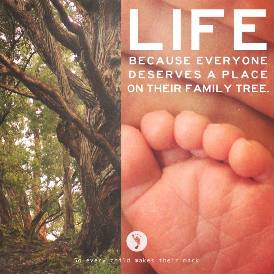 Life Because Everyone Deserves A Place On Their Family Tree