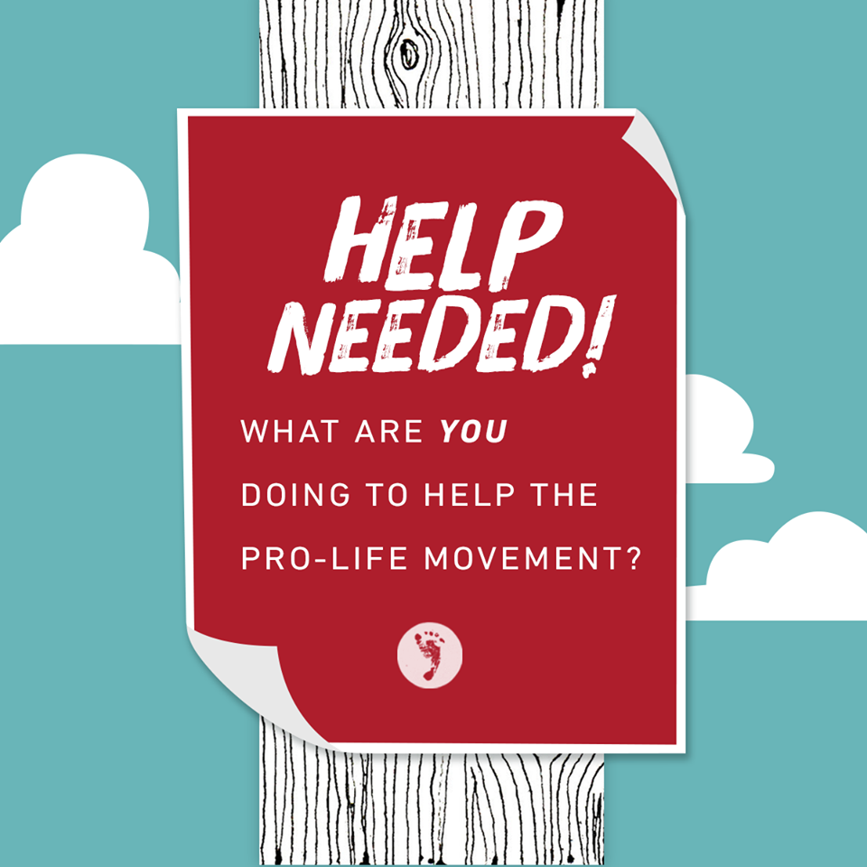 Help Needed. What are you doing to help the pro-life movement