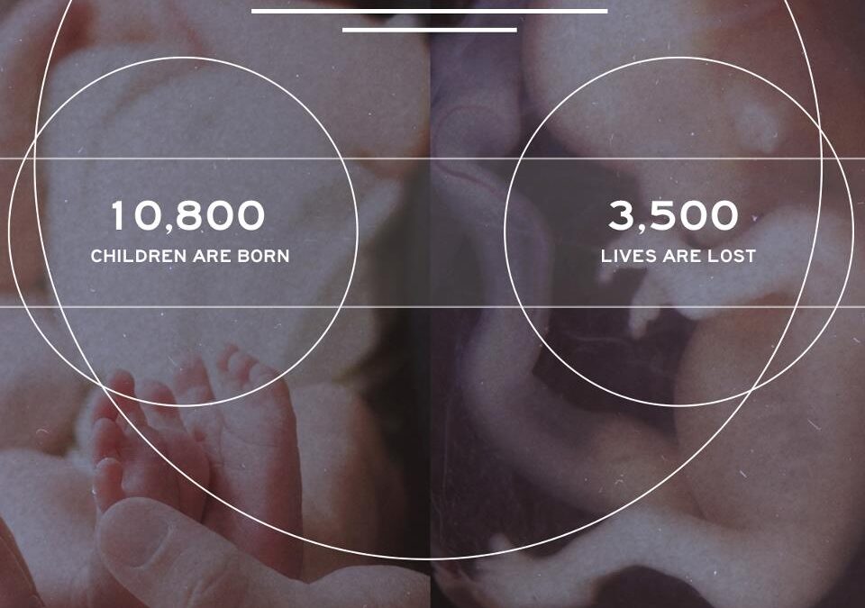 Birth and Abortion Statistics