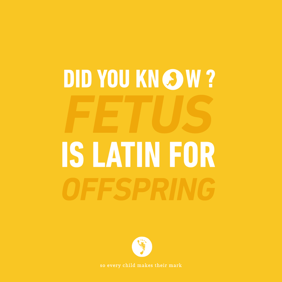 Did You Know? Fetus Is Latin For Offspring?