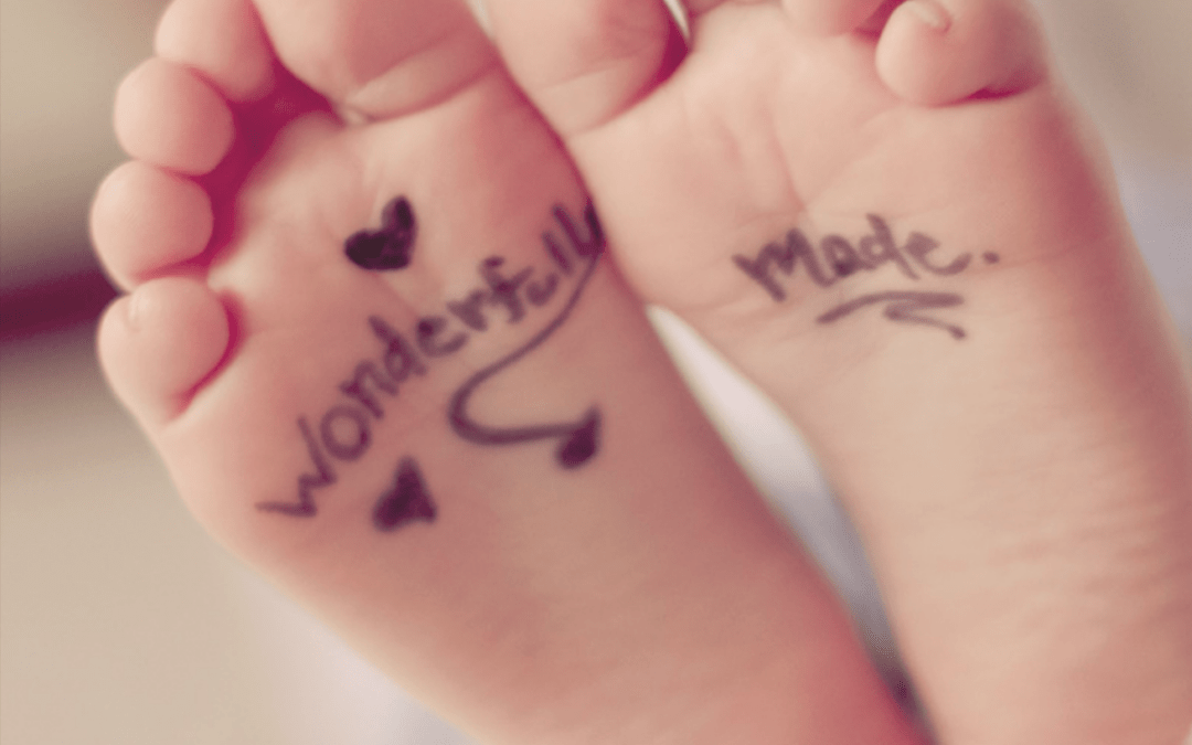 Wonderfully Made