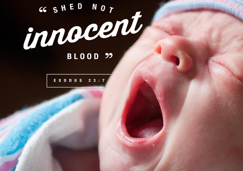 Shed Not Innocent Blood