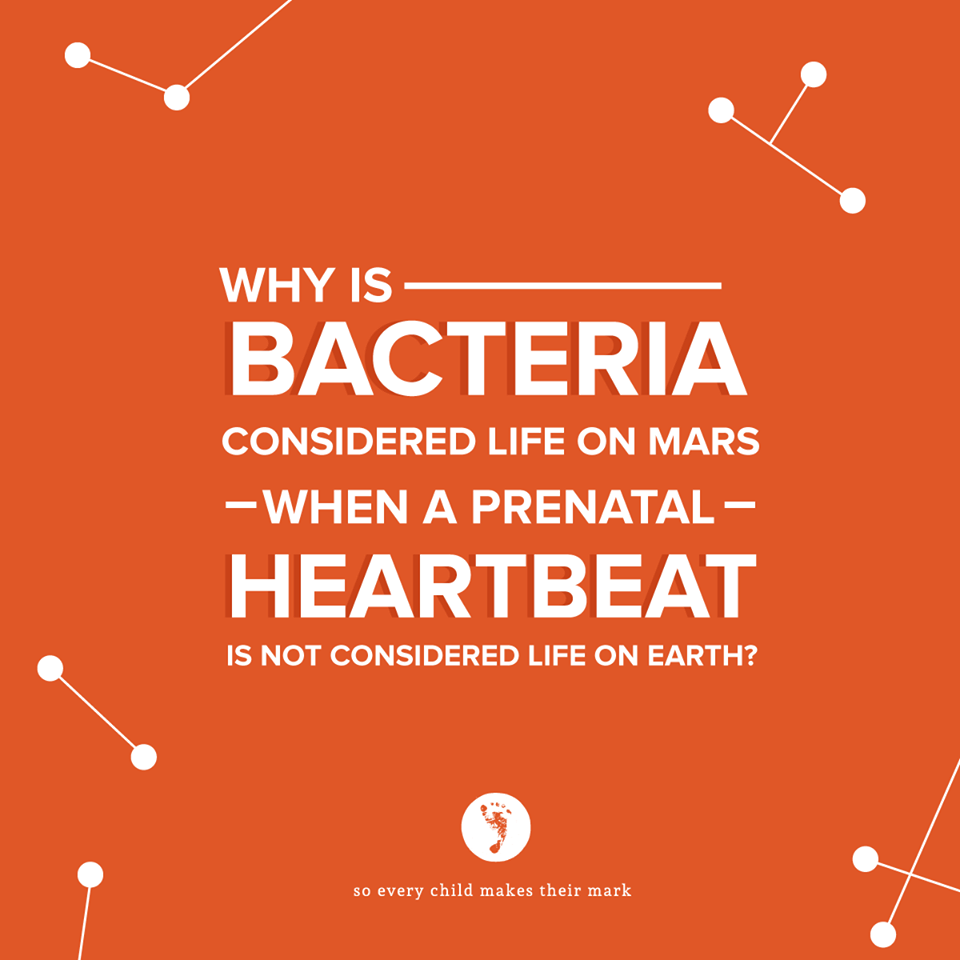 Bacteria Considered Life On Mars? – A Prenatal Heartbeat Is Not Considered Life On Earth?