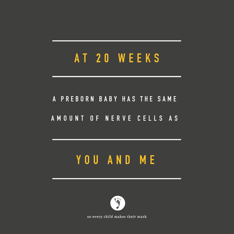 At 20 Weeks A PREBORN Baby Has The Same Amount Of Nerve Cells As YOU and ME!