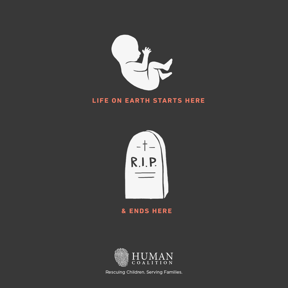 human development from womb to tomb