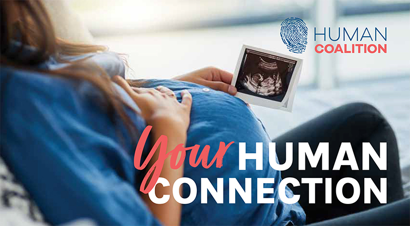 Your Human Connection, Spring 2022